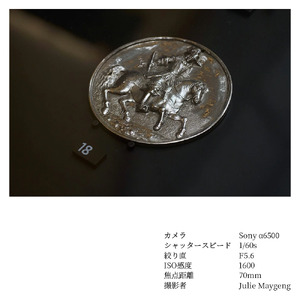 SIGMA 16-300mm F3.5-6.7 DC OS | Contemporary【ソニーEマウント】