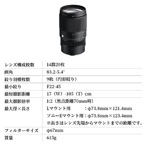 SIGMA 16-300mm F3.5-6.7 DC OS | Contemporary【ソニーEマウント】