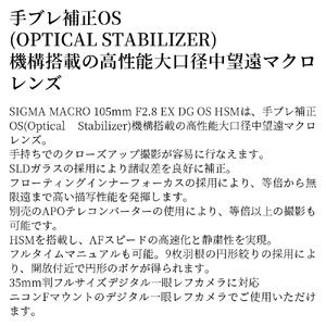 SIGMA MACRO 105mm F2.8 EX DG OS HSM【ニコンFマウント】（数量限定）