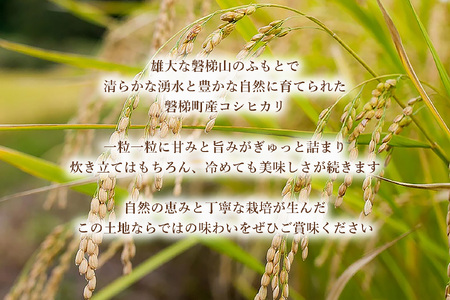 【数量限定】令和7年産コシヒカリ　5kg　磐梯山麓こしひかり　精米　発送時期3月下旬から