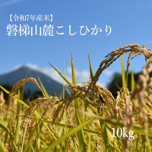 【数量限定】令和7年産コシヒカリ　10kg　磐梯山麓こしひかり　精米　