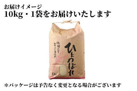 令和5年度新米】ひとめぼれ10kg【磐梯産名水米ひとめぼれ】 | 福島県