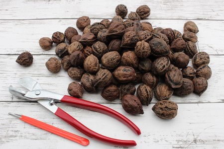 豊作御礼企画！会津の鬼ぐるみ18kg ※着日指定不可