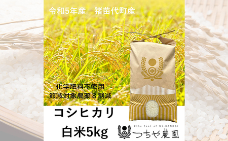 【令和5年産】猪苗代町産 特別栽培米コシヒカリ 5kg（精米）