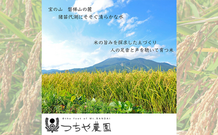 【令和5年産】猪苗代町産 特別栽培米コシヒカリ 5kg（精米）