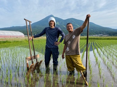 【令和7年度産】 つちや農園 猪苗代町産 特別栽培米ひとめぼれ 5kg（精米）| お米 米 ひとめぼれ