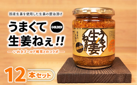うまくて生姜ねぇ!!ゴールデン12本セット 【しょうが 国産 醤油漬け しいたけ ごはんのお供 お弁当 調味料 おつまみ 肴 薬味 隠し味 猪苗代町 福島県】