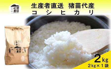 【令和7年度産】 米 コシヒカリ 2kg 白米 精米 ※沖縄・離島への配送不可
