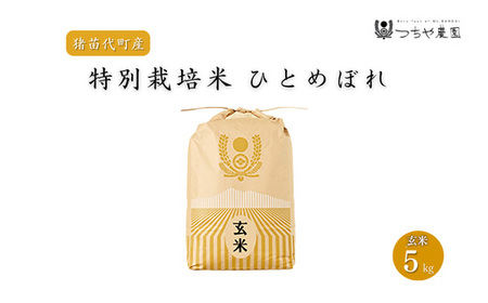 【令和7年度産】 つちや農園 猪苗代町産 玄米 特別栽培米ひとめぼれ 5kg(玄米)| お米 米 ひとめぼれ