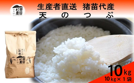 【令和7年度産】 米 天のつぶ 10kg(10kg×1袋) 白米 精米 ※沖縄・離島への配送不可
