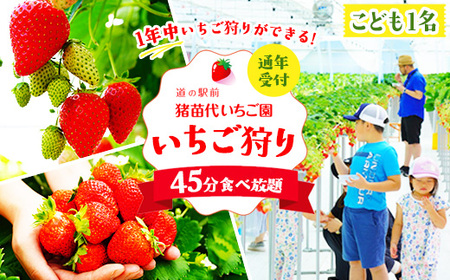 いちご狩り 1年中 「道の駅前 猪苗代 いちご園」 こども1名チケット（4歳?小学生） ｜ 苺 通年 猪苗代・会津地域