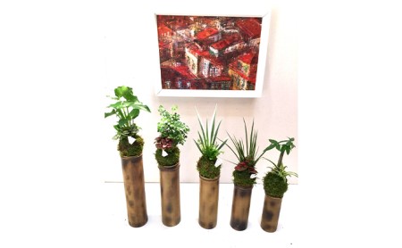 竹プランター 美 スタンド型5連 観葉植物含む苔玉5個付き 福島県猪苗代町 ふるさと納税サイト ふるなび