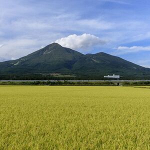 田舎もち 切り餅 400g×12袋