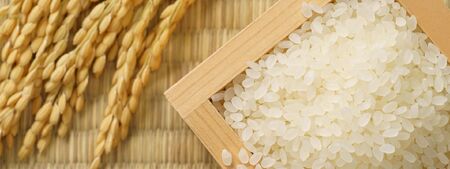 田舎もち 切り餅 400g×12袋