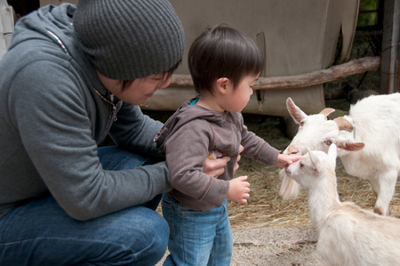 磐梯高原南ヶ丘牧場 牧場体験チケット(6,000円分)