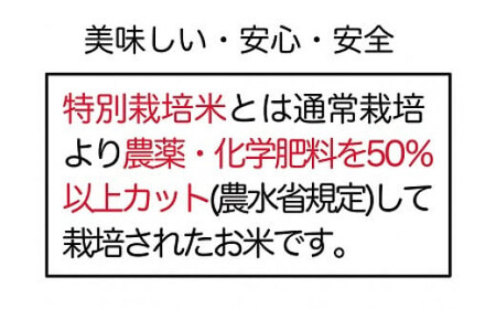 コシヒカリ 白米 会津 5kg 2袋 計10kg 令和6年 減農薬 特別栽培米 米 お米 藤川農産 3-C　※2024年10月中旬頃より順次発送予定