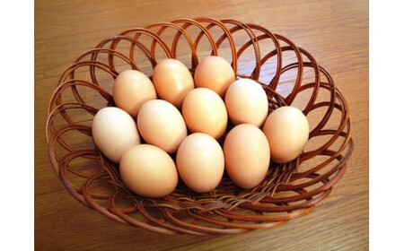 【卵かけご飯セット～山塩たれ付き～】 平飼い会津地鶏の卵《 定期便 》生卵45個、卵かけご飯用山塩タレ20個×6か月 33-H ※沖縄・離島への配送不可