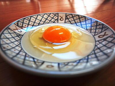 【6か月定期便】平飼い会津地鶏の卵 3kg（50～60個） 33-B ※沖縄・離島への発送不可