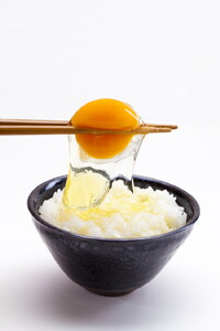 【12か月定期便】平飼い会津地鶏の卵 3kg(50~60個) 33-K ※沖縄・離島への配送不可