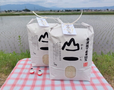 22-B 会津坂下町産 ササニシキ 10kg(5kg×2) ※2025年10月上旬頃より順次発送予定