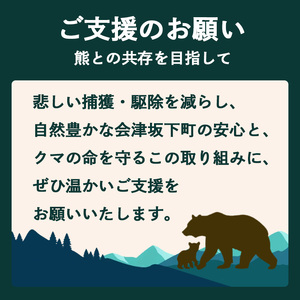 【ふるさとの安全を守る】会津坂下町の「人と熊の共存」に向けた熊対策応援プロジェクト 10,000円 品無し寄附 返礼品なし