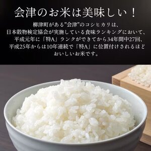 【令和6年産】福島県柳津町産「こしひかり」10kg〈令和7年3月下旬発送予定〉【1560646】