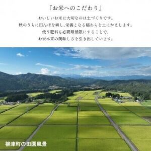 【令和6年産】福島県柳津町産「こしひかり」10kg〈令和7年3月下旬発送予定〉【1560646】