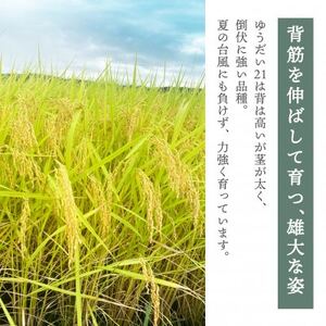 【令和6年産】柳津町産「こしひかり・ゆうだい21」食べ比べ 各5kg〈令和7年2月下旬発送予定〉【1560739】