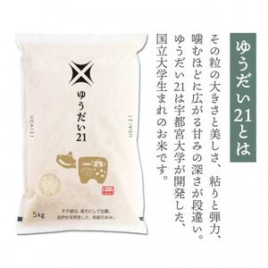 【3月下旬発送】大粒でもっちり!「ゆうだい21」10kg【令和7年産新米】【1675764】