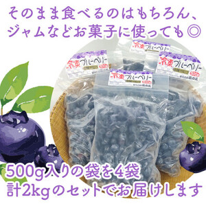 【摘みたて冷凍】自然の中で育った冷凍ブルーベリー(500g×4パック)【配送不可地域：離島】【1362345】