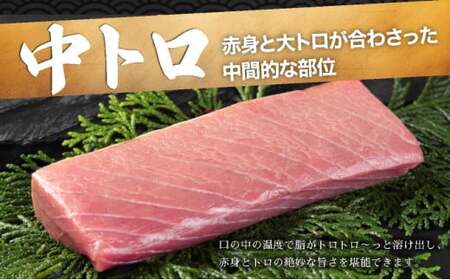 天然本マグロ三種盛り MATB002