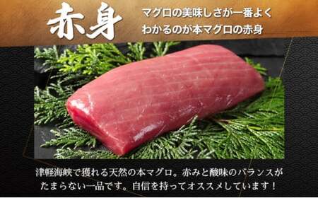 天然本マグロ中トロ＆赤身二種盛り MATB006