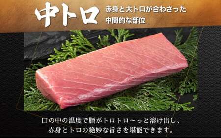 天然本マグロ中トロ＆赤身二種盛り MATB006