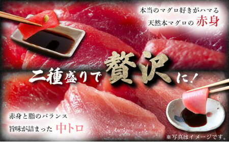 天然本マグロ中トロ＆赤身二種盛り MATB006