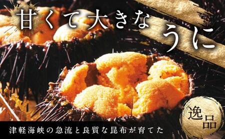 【期間限定】塩水キタムラサキウニ 100g×1パック 「2026年6月以降順次発送」 MATB009