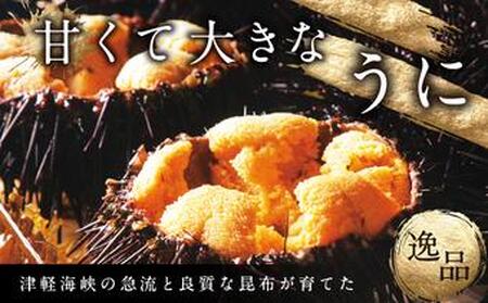 【期間限定】塩水キタムラサキウニ 100g×3パック 「2026年6月以降順次発送」 MATB014