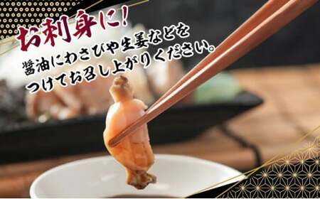 冷凍 あわび 280g MATK020