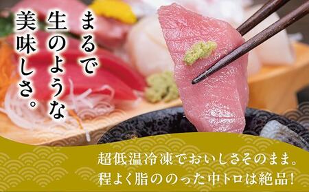 超低温冷凍 松前町産本まぐろ中トロ　280ｇ MATK026