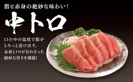 超低温冷凍 松前町産本まぐろ中トロ　280ｇ MATK026