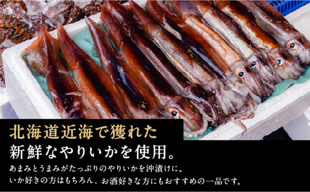 やりいか沖漬姿　1尾×2ケース MATK029