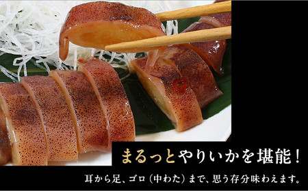 やりいか沖漬姿　1尾×2ケース MATK029