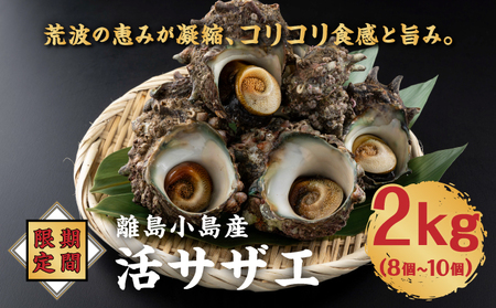 【期間限定】離島小島産 活サザエ ２kg 大きいサイズ 8個～10個 濃厚 海鮮 北海道 特産品 新鮮 美味しい 刺身 焼き物 つぼ焼き バター炒め 炊き込みご飯 贅沢 お取り寄せ 和食 人気 松前町 MATO001