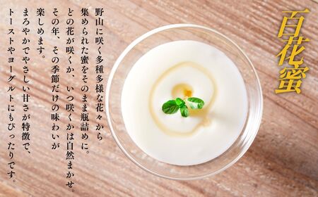 百花蜜と蕎麦蜜のセット 蜂蜜 はちみつ ハチミツ 百花蜜 国産 蕎麦蜜 ピュアハニー セット 天然 おすすめ お中元 お歳暮 ギフト 昭和村 ふくしま 福島県 送料無料 蜂蜜 蜂蜜 蜂蜜 蜂蜜【道の駅からむし織の里しょうわ】