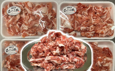 ブランドポーク「匠のこころ豚」切り落とし2kg（500g×4）ふるさと納税限定セット【◎安全・安心　JGAP・農場HACCP認証取得】 お肉 豚肉 バラ 小間切れ 炒め物 