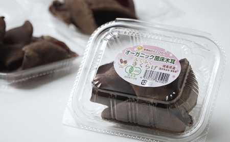 オーガニック 菌床生しいたけ・生きくらげ 約1kg(各500g) きのこ 野菜 国産 GAP認証 有機JAS認定 食物繊維 ビタミン ミネラル