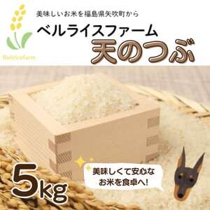 【令和6年産米先行受付】農家直送 ベルライスファームの天のつぶ精米5kg【1537650】