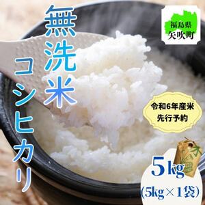 【先行受付】令和6年産〈無洗米〉　福島県矢吹町の美味しいこしひかり5kg【1543984】