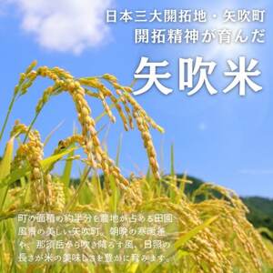 【先行受付】令和6年産〈無洗米〉　福島県矢吹町の美味しいこしひかり5kg【1543984】