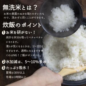 【先行受付】令和6年産〈無洗米〉　福島県矢吹町の美味しいこしひかり5kg【1543984】