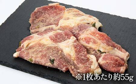 お弁当におつまみに！薄切り国産熟成豚味噌漬け9枚 F6U-024